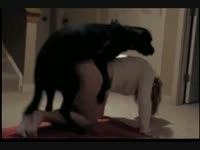 Beautiful teen beastiality sex with pet dog